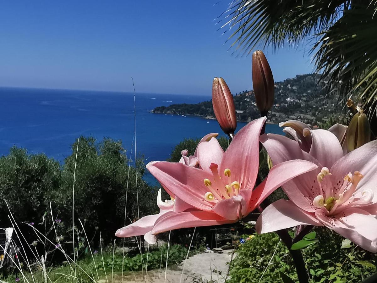Romantic Casa Lorenzina Affittacamere Ventimiglia Exterior photo